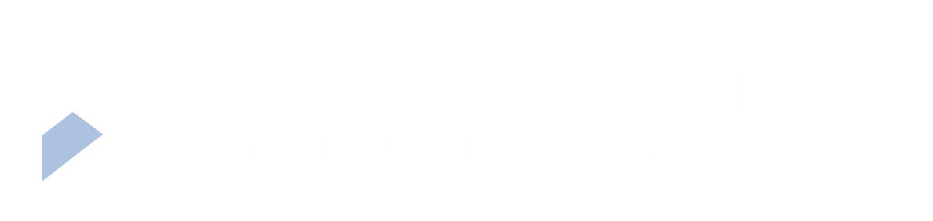 Dr. Merritt logo in white.